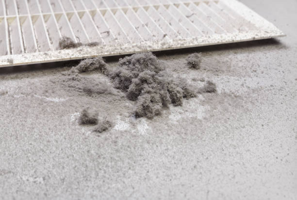 Best Emergency Air Duct Cleaning  in Cashton, WI