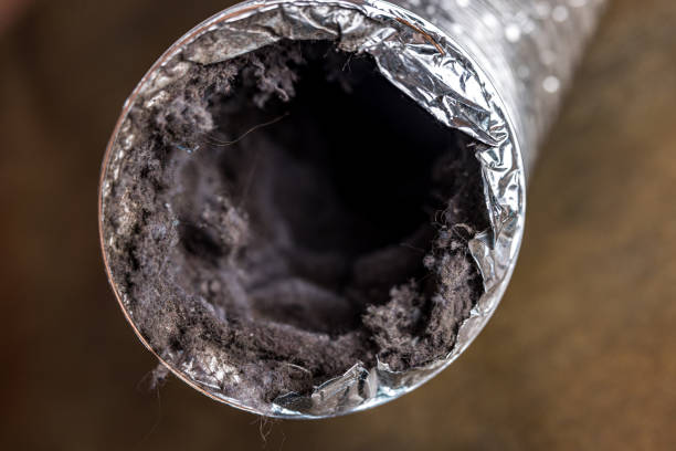 Best Air Duct Cleaning Near Me  in Cashton, WI